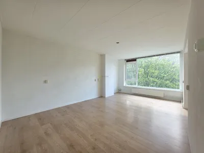 Reigerstraat , 2953EP, Alblasserdam, Zuid-Holland