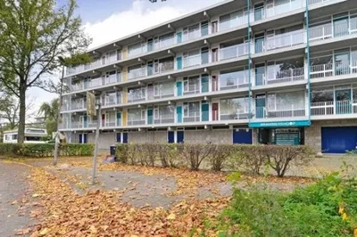 Brammershoop , 2036BG, Haarlem, Noord-Holland