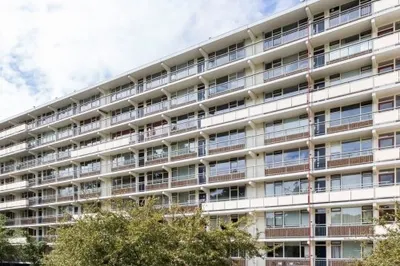 Arendshorst , 2317CS, Leiden, Zuid-Holland