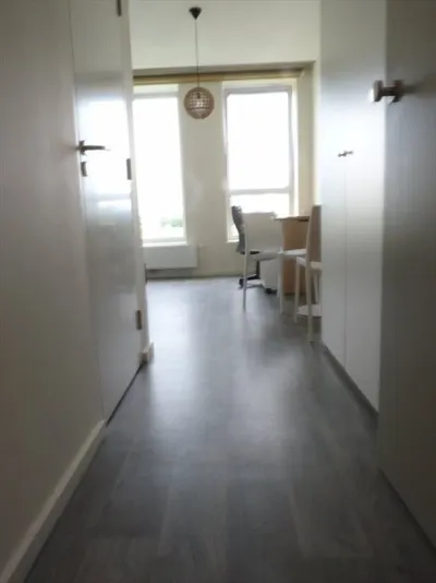 Provenierssingel , 3033, Rotterdam, Zuid-Holland
