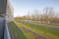 Pharus, Zaandam