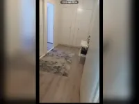 Boogschutter, Veenendaal