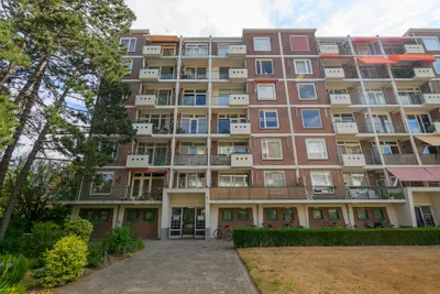 Ranonkelstraat 387, 2565BH, Den Haag, Zuid-Holland