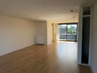 Rijzertlaan, Den Bosch