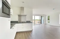 Oude Haagweg, Den Haag
