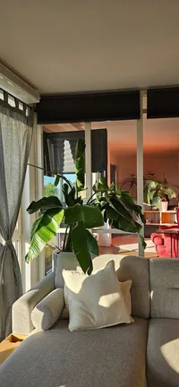 Azurietkade, Leiden
