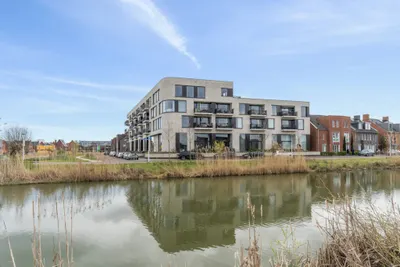 Wilde rucolavliet , 3545CL, Utrecht, Utrecht