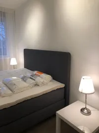 Bolestein, Amsterdam