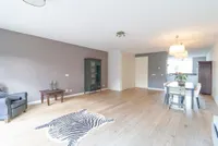 Salamander, Amstelveen