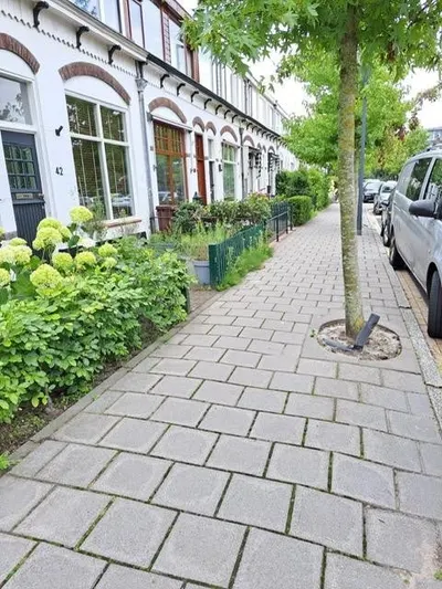 Terweeweg , 2341CR, Oegstgeest, Zuid-Holland