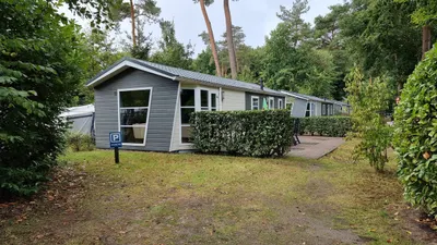 Fazantlaan , 3852AM, Ermelo, Gelderland
