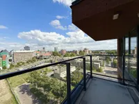Letterhout, Zaandam