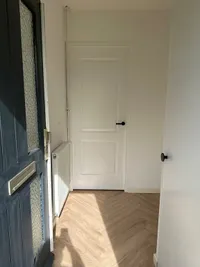 Brandnetel, Zwaag