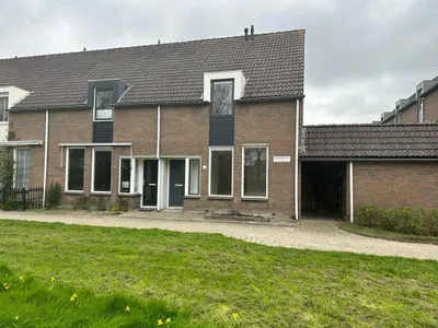 Brandnetel , 1689SB, Zwaag, Noord-Holland