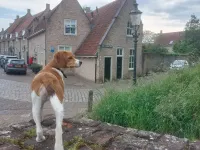 Oude Herptsche Poort, Heusden