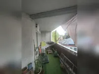 De Dorsmolen, Borne