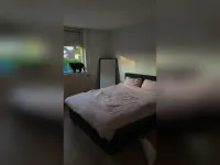 de Peppel, Didam