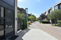 Pieter de Voisstraat, Den Haag
