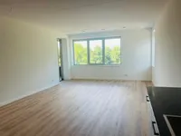 De Zaling, Dronten