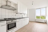 Meerkoet 77, Diemen