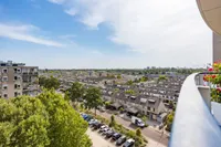 Meerkoet 77, Diemen