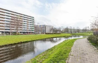 Cruquiuslaan , 2332EA, Leiden, Zuid-Holland