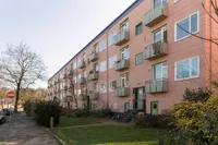 Ligusterstraat, Nijmegen