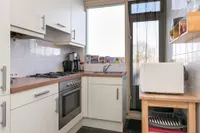 Ligusterstraat, Nijmegen