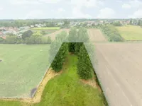 Bammestraat 36, Bilzen-Hoeselt