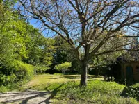 Sterkenburgerlaan, Driebergen-Rijsenburg