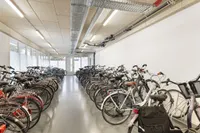 Kaap Hoorndreef, Utrecht