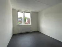Heidevlinder, Enschede