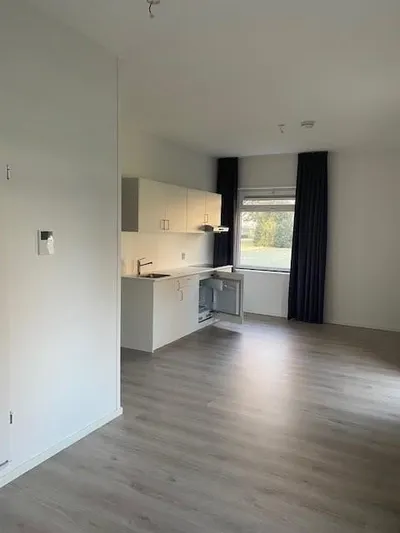 Studio Flintstraat, Emmen