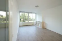 Segbroeklaan, Den Haag