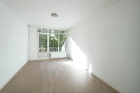 Segbroeklaan, Den Haag