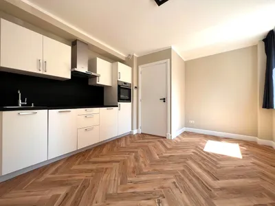 Van Speijkstraat , 2518EW, Den Haag, Zuid-Holland