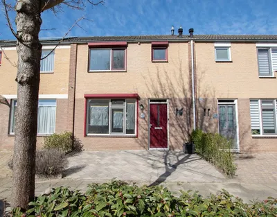 Huis Wilhelminastraat, Vogelwaarde