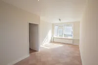 Wilhelminastraat, Vogelwaarde