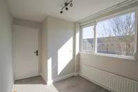 Wilhelminastraat, Vogelwaarde