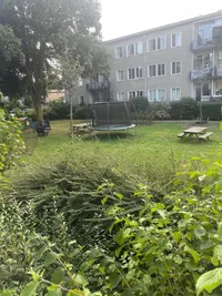 Veluwelaan, Amsterdam