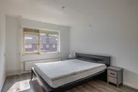 Tomakker, Nuenen