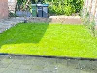 Meeslaan, Tiel