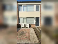 Meeslaan, Tiel