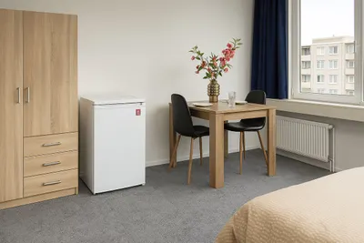 Volmerlaan , 2288GG, Rijswijk, Zuid-Holland
