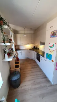 Tulpentuin, Houten
