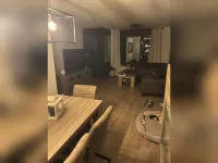 Kuifeend, Etten-Leur