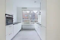 Blokvucht, Breda
