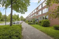 Helperzoom, Groningen