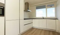 Nieuwendamlaan, Den Haag