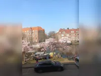 Amstelkade, Amsterdam